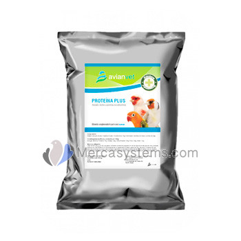 Avianvet Proteína Plus 500gr, (proteínas fácilmente diregibles por las aves)