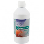 BelgaGarlic + Vitamina E 500 ml "de Belgica de Weerd" (aceite de ajo + vitamina E). productos para palomas (
