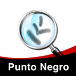 Tratamiento y Prevención del Punto Negro en canarios